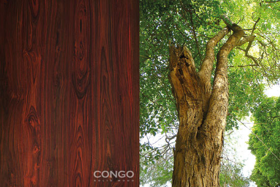 Mengenal Kayu Solid Sonokeling Yang Eksotis - Store Congo Solid Wood